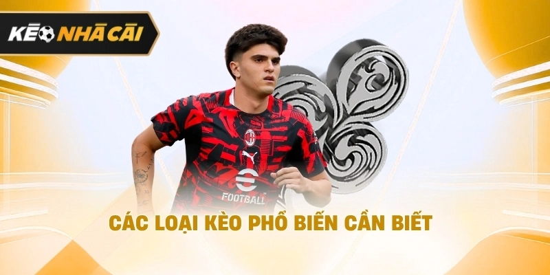 Các loại kèo phổ biến cần biết nên tham khảo