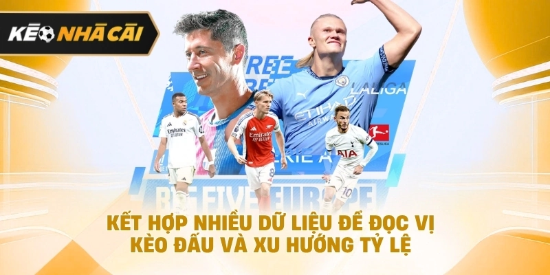 Kết hợp nhiều thông tin để đọc vị kèo đấu và diễn biến tỷ lệ cần biết