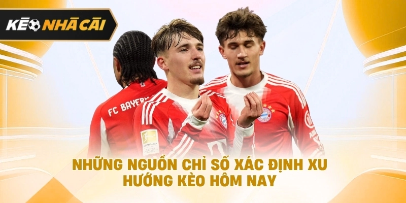 Xét trên thực tế, những nguồn chỉ số xác định xu hướng kèo hôm nay cần biết